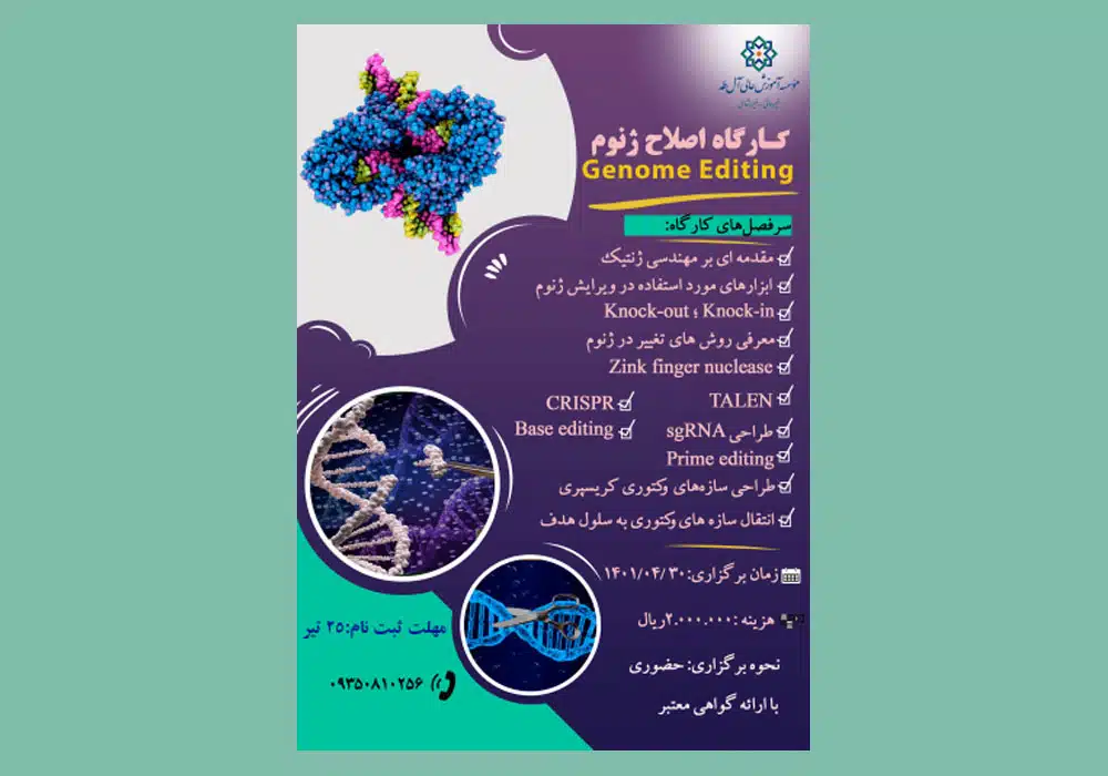 Image-Course3