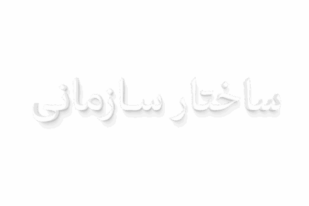 ساختار سازمانی
