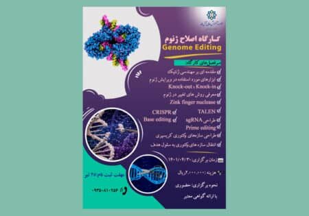 Image-Course3